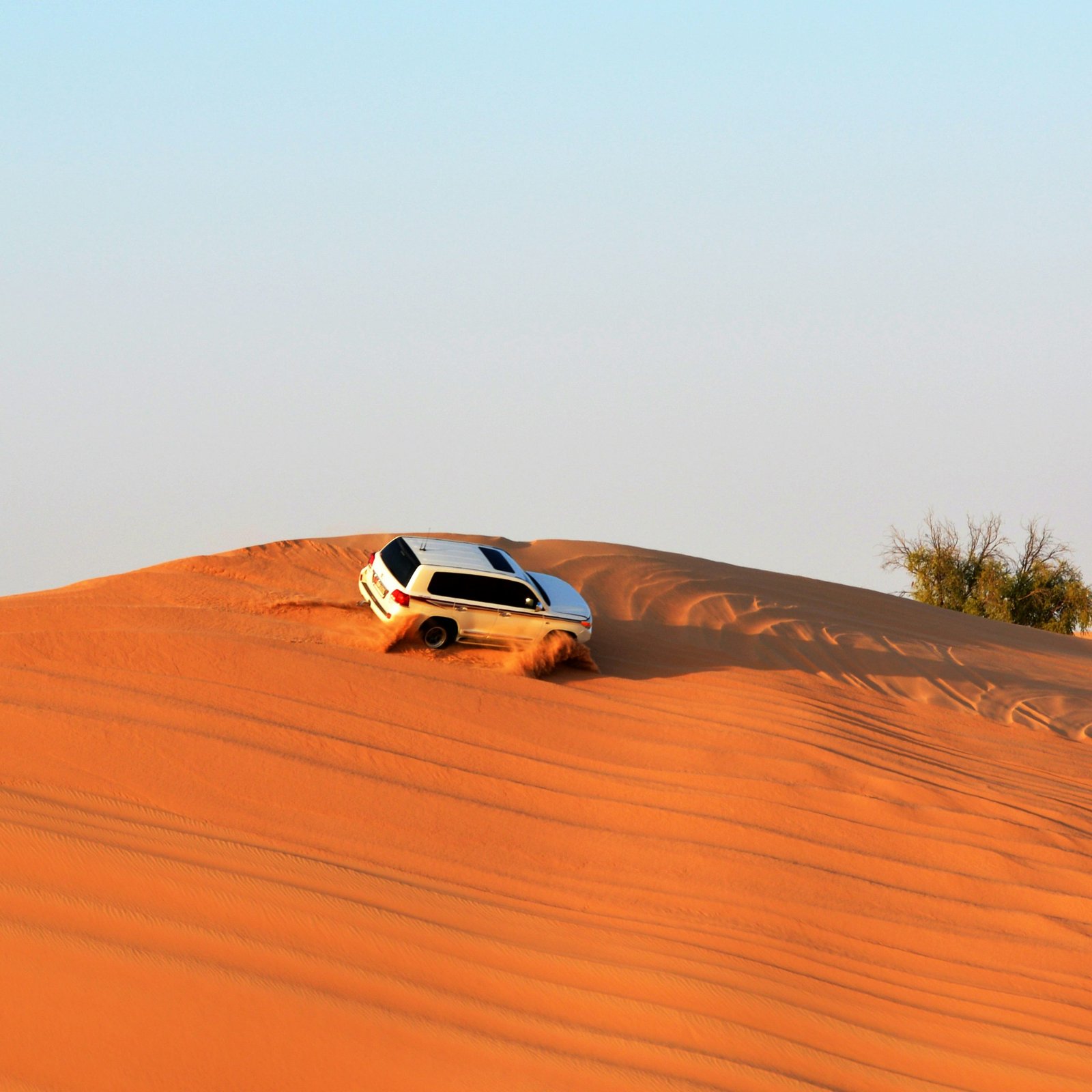 Evening Dubai Desert Safari