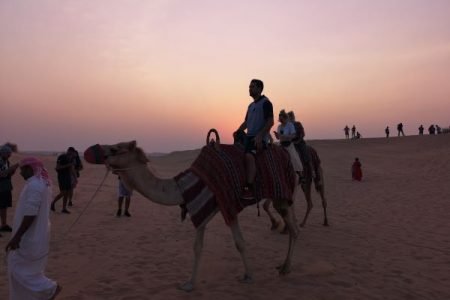 Evening Desert Safari with Camel Ride
